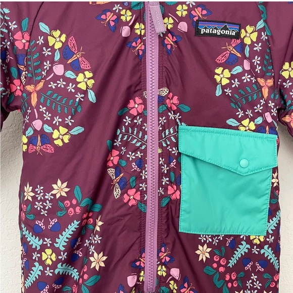 Patagonia Bunting - Picture 3 of 6